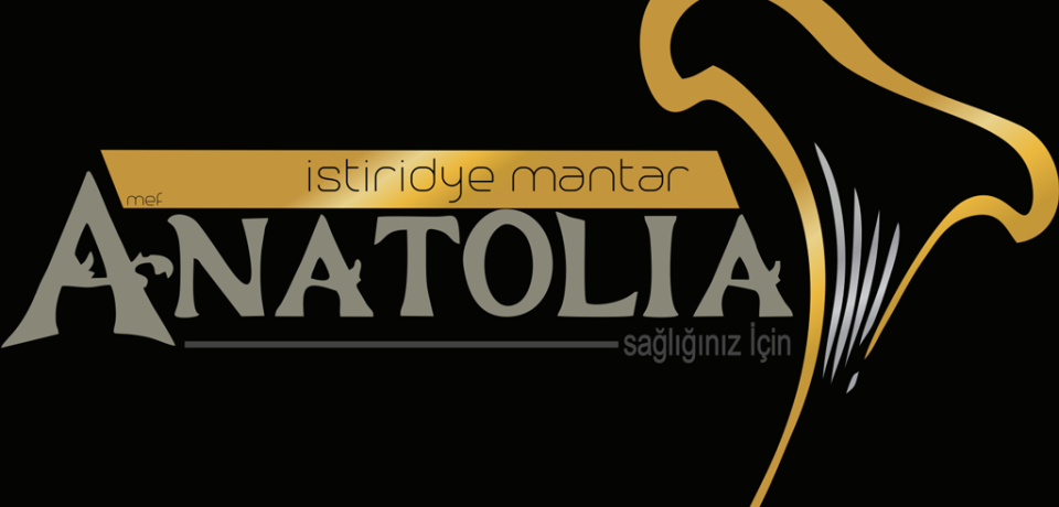 elazığ-logo-tasarım