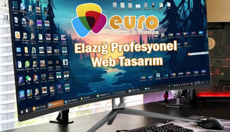 Elazığ-Profesyonel-Web-Tasarım
